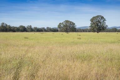 Property CA29A Baddaginnie-Benalla Road, Baddaginnie VIC 3670 IMAGE 0