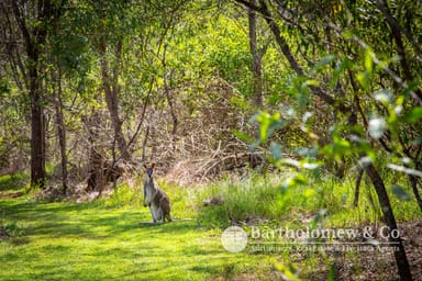 Property 853 Boonah Rathdowney Road, Wallaces Creek QLD 4127 IMAGE 0