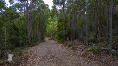 Property 1, 1166 Prossers Road, Underwood TAS 7268 IMAGE 0