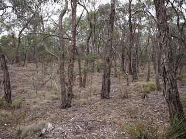 Property Lot One Grampians View Road, Beaufort VIC 3373 IMAGE 0