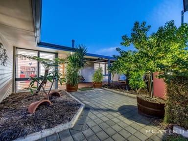 Property 7 Glenunga Way, Craigie WA 6025 IMAGE 0