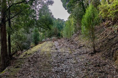 Property 1, Judds Creek Road, JUDBURY TAS 7109 IMAGE 0