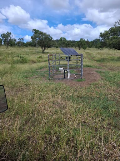 Property 124 Lee Farm Road, Bushley QLD 4702 IMAGE 0