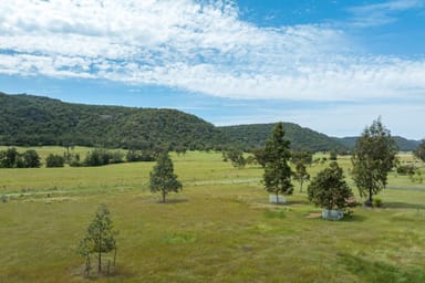 Property 713 Giants Creek Road, Giants Creek NSW 2328 IMAGE 0