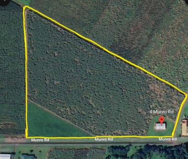 Property Lot 4, 4 MUNRO ROAD, BELLENDEN KER QLD 4871 IMAGE 0