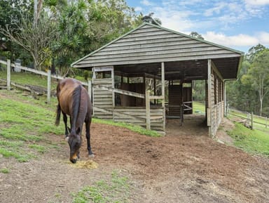 Property 50 Wallandra Rd, Tallai QLD 4213 IMAGE 0