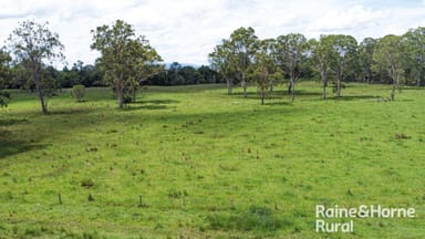 Property 351 Marks Road, LEEVILLE NSW 2470 IMAGE 0