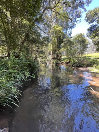 Property Lot 131 Bunnoo River Road, ELLENBOROUGH NSW 2446 IMAGE 0