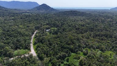 Property Lot 81 Cape Tribulation Road, DIWAN,, DAINTREE QLD 4873 IMAGE 0