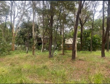 Property 255 High Central Road, Macleay Island QLD 4184 IMAGE 0