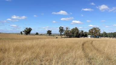 Property "Glen Alvin" & "Lockyer", ELONG ELONG NSW 2831 IMAGE 0