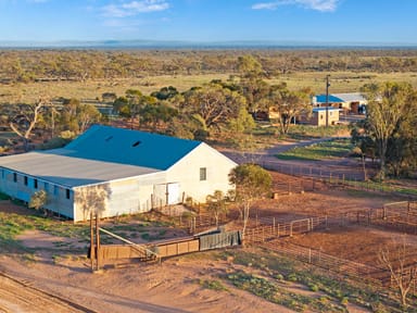 Property 'Wilkatana Station' Wilkatana Road, YARRAH SA 5433 IMAGE 0