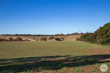 Property 598 Steiglitz Road, SUTHERLANDS CREEK VIC 3331 IMAGE 0