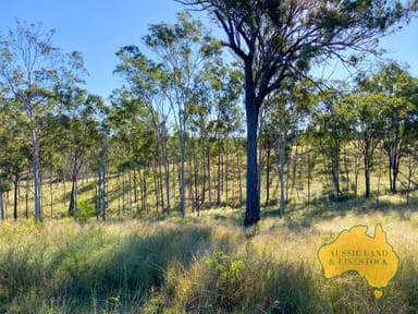 Property 1308 Lochaber Road, EIDSVOLD QLD 4627 IMAGE 0