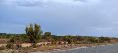 Property Lot 338 Casuarina Drive, Nilgen WA 6044 IMAGE 0