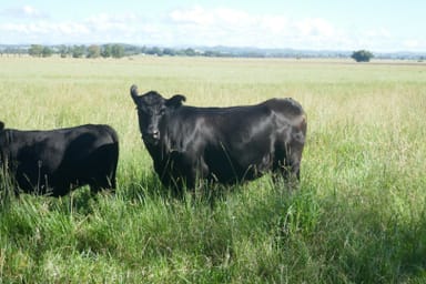 Property 150 Fairy Hill Station Rd, Casino NSW 2470 IMAGE 0