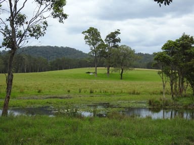 Property Lot 2 Upper Smiths Creek Road, KUNDABUNG NSW 2441 IMAGE 0