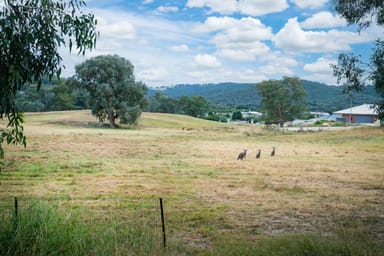 Property 827-841 Centaur Rd, HAMILTON VALLEY NSW 2641 IMAGE 0