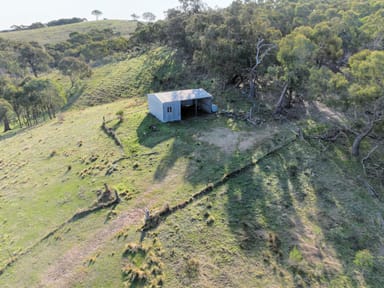 Property Lot 155 Berrebangelo Lane, GUNDAROO NSW 2620 IMAGE 0