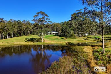 Property 811 Newmans Road, Topi Topi NSW 2423 IMAGE 0