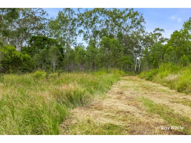 Property 104-166 Auton And Johnsons Road, THE CAVES QLD 4702 IMAGE 0