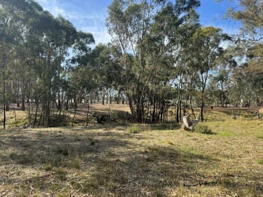 Property 457 Dunolly-Moliagul Road, Dunolly VIC 3472 IMAGE 0