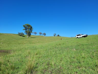 Property 552 Neringla Road, NERINGLA NSW 2622 IMAGE 0