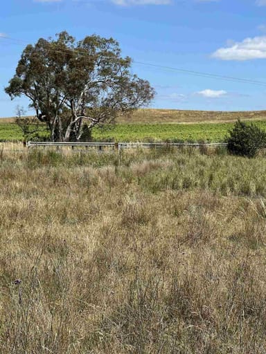 Property Castlereagh Highway Castlereagh Highway, Gulgong NSW 2852 IMAGE 0