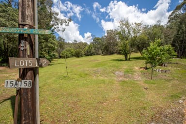 Property 1 & 2, WOMBAT GULLY ROAD, MITTA MITTA VIC 3701 IMAGE 0