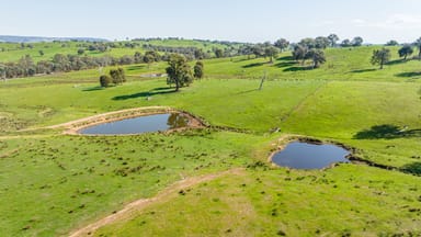 Property 13703 Hume Highway, MULLENGANDRA NSW 2644 IMAGE 0