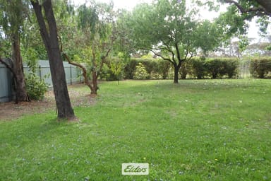 Property 346 Tol Tol Road, Robinvale VIC 3549 IMAGE 0