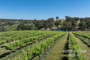 Property 705 Craneford Road, Flaxman Valley SA 5235 IMAGE 0