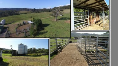 Property 1100 Iron Pot Creek & Ghinni Ghi Roads, Kyogle NSW 2474 IMAGE 0