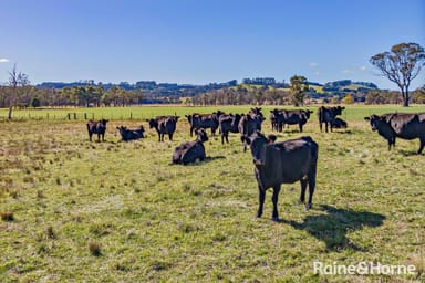 Property GLENQUARRY NSW 2576 IMAGE 0