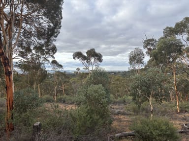 Property 155 Wandoo Cir, Toodyay WA 6566 IMAGE 0