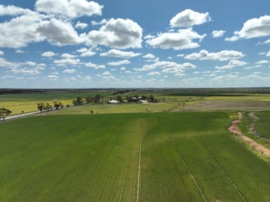 Property Multi Lot Kellerberrin-Shackleton Rd, Kellerberrin WA 6410 IMAGE 0