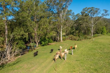 Property 161 Molly Milligan Road, MARLO MERRICAN NSW 2441 IMAGE 0