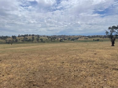 Property Lot 4-5, 3 Cooney's Creek Road, JUGIONG NSW 2726 IMAGE 0