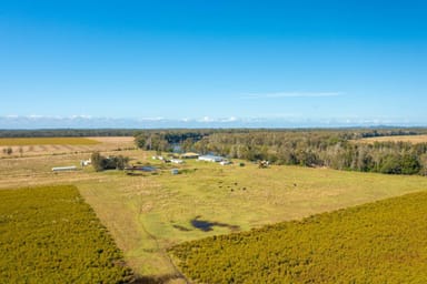 Property 576 MARIA RIVER ROAD, LIMEBURNERS CREEK NSW 2444 IMAGE 0