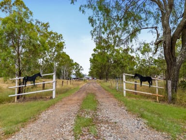 Property 65 Nunns Road, Clarendon QLD 4311 IMAGE 0