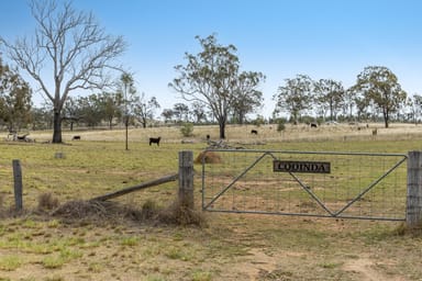 Property 608 Mountain Maid Road, Greymare QLD 4370 IMAGE 0