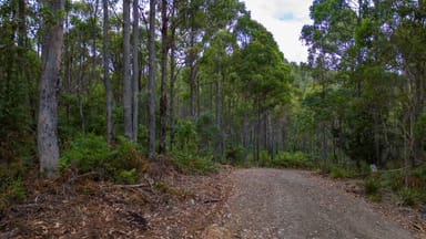 Property 1, 1166 Prossers Road, Underwood TAS 7268 IMAGE 0