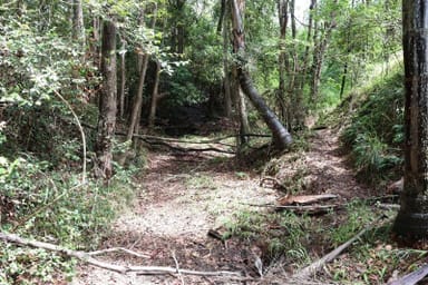 Property Lot 155 North Deep Creek/Bradys Road, North Deep Creek QLD 4570 IMAGE 0