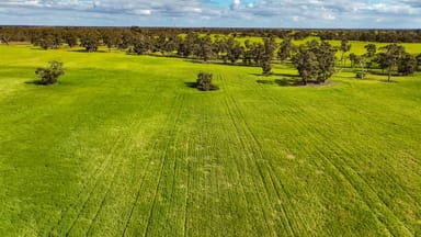 Property 644 Golf Course Road, BORDERTOWN SA 5268 IMAGE 0