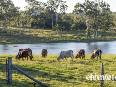 Property 439 Cattle Station Road, Rosedale QLD 4674 IMAGE 0