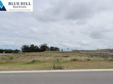 Property 30 Assay Street, Gillieston Heights NSW 2321 IMAGE 0