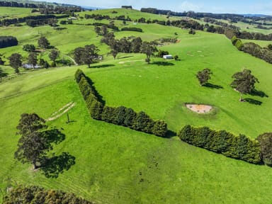 Property 213 Mirboo Road, Mirboo VIC 3871 IMAGE 0