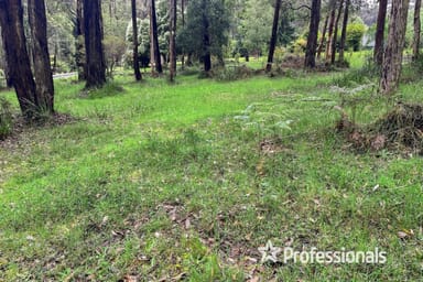 Property 160 Fisherman Drive, Reefton VIC 3799 IMAGE 0