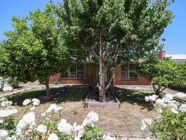 Property 398 Blacks Road, Glenormiston South VIC 3265 IMAGE 0