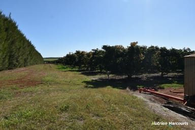 Property Lot 1 Huxley Road, North Isis QLD 4660 IMAGE 0